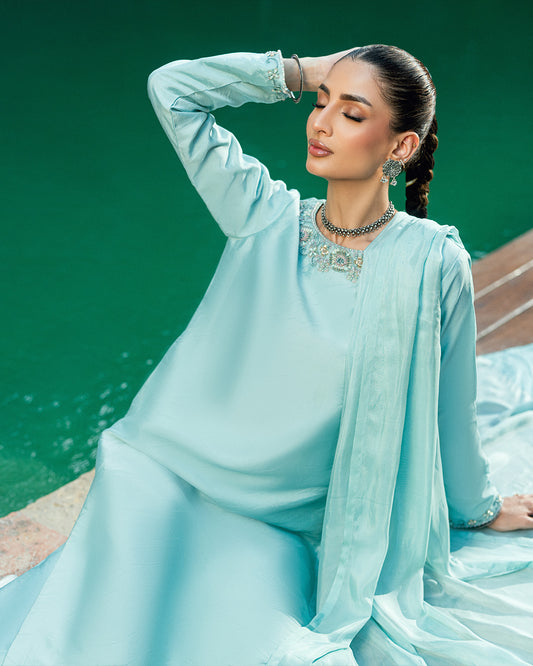 Hand Embellished 3pcs Suit