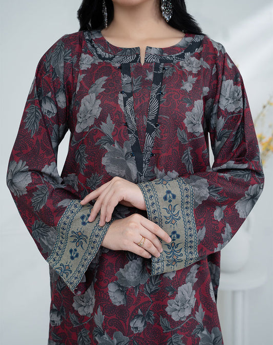 2 pcs dhanak suit