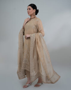 Embroidered Chiffon Luxury Suit