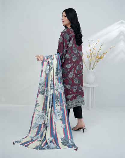 2 pcs dhanak suit