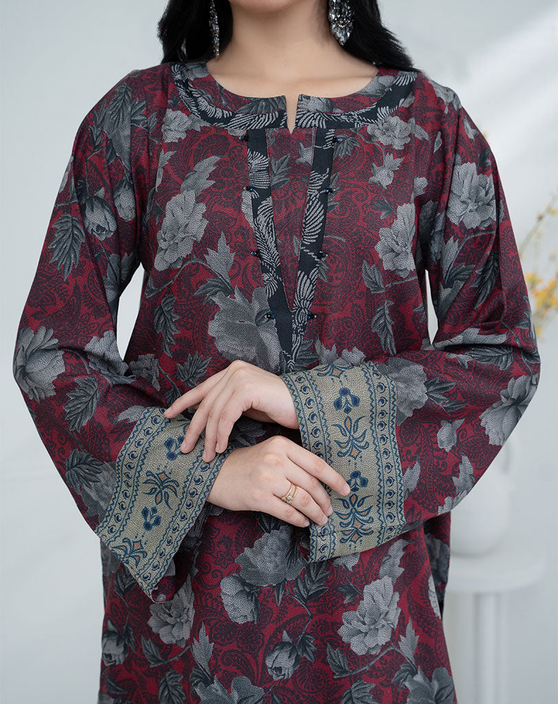 2 pcs dhanak suit