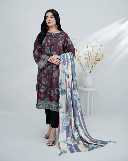 2 pcs dhanak suit