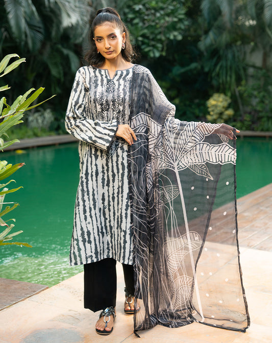 Printed Embroidered Lawn 2 Pcs Suit