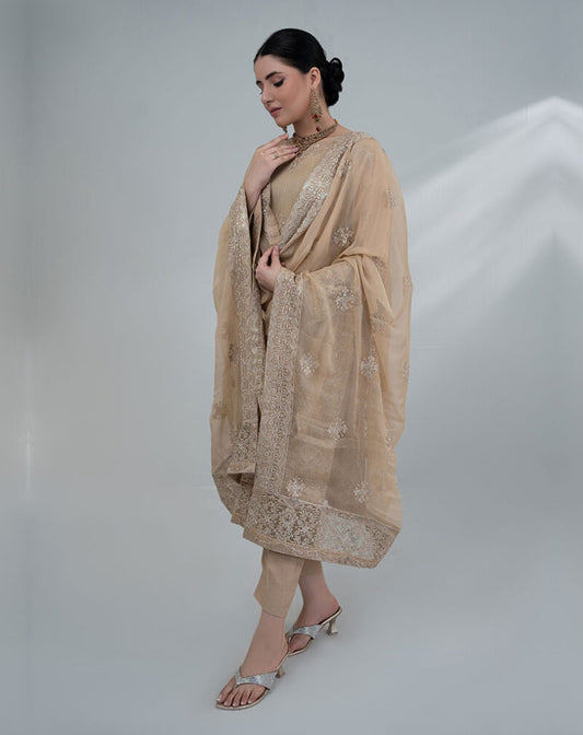 Embroidered Chiffon Luxury Suit